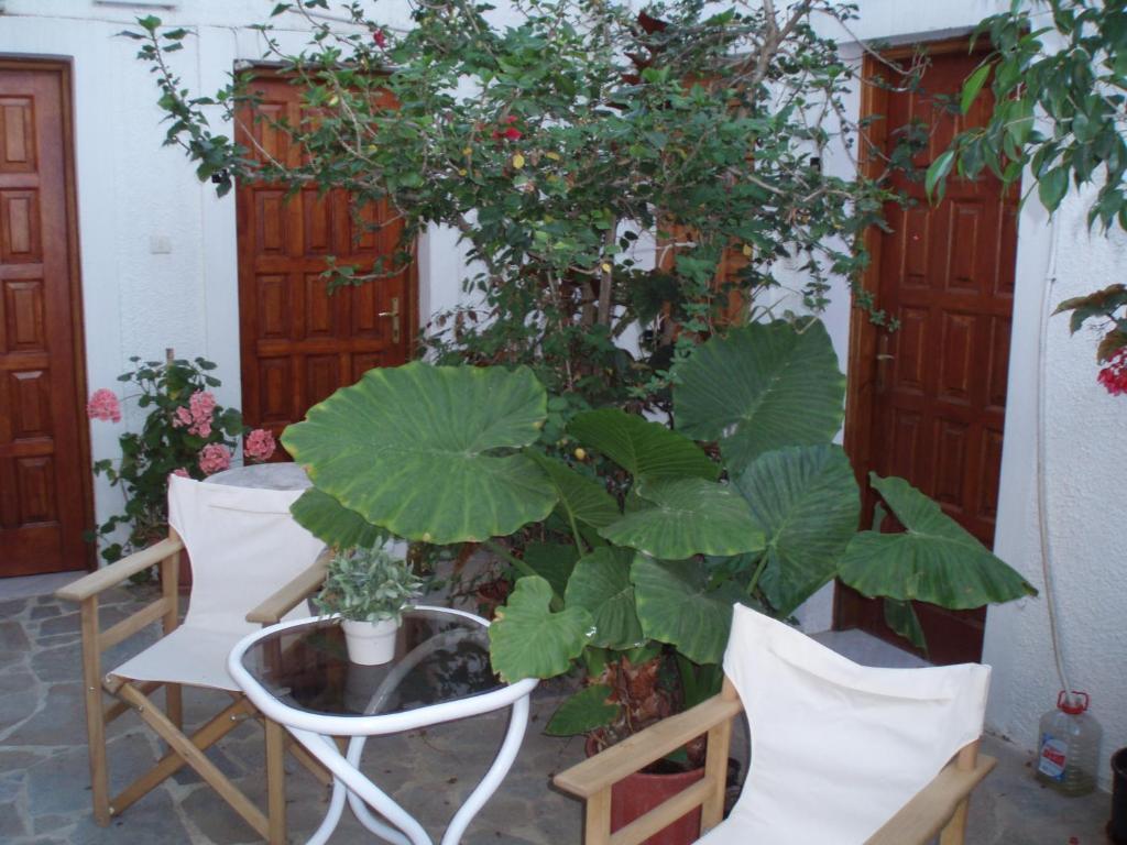 Pantazis Studios Aegina Стая снимка