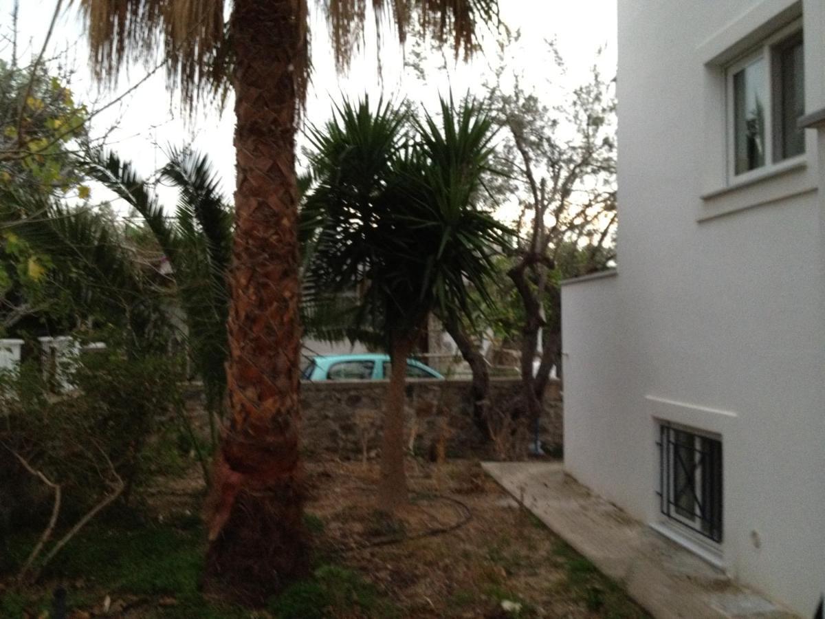 Pantazis Studios Aegina Стая снимка
